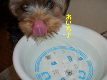 c0143711_1642792.gif