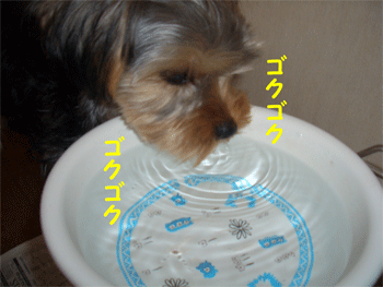 c0143711_164733.gif