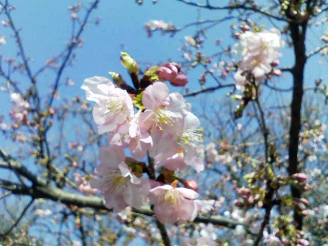 a0028016_23502923.jpg
