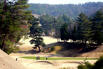 e0083517_763581.jpg