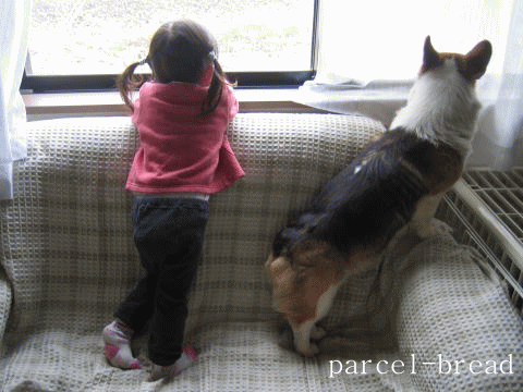 a0037322_17132932.gif