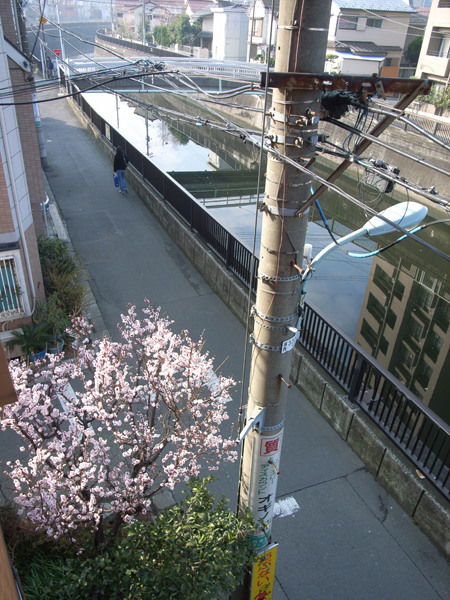 e0047922_22242345.jpg