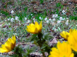 f0147025_2114415.jpg