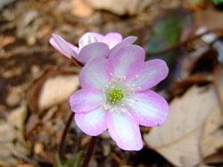 f0147025_21215972.jpg