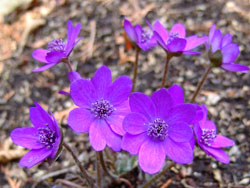 f0147025_21221635.jpg