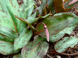 f0147025_21233236.jpg