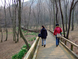f0147025_21394996.jpg