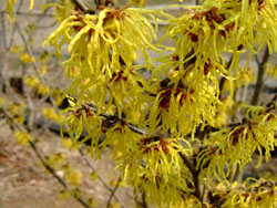 f0147025_2144869.jpg