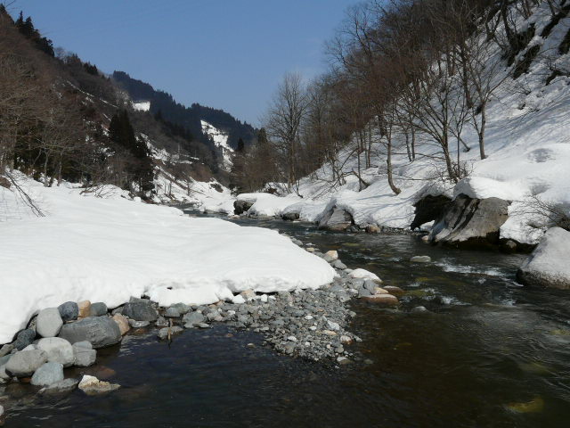 e0147226_2233391.jpg