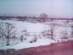 f0054731_11101686.jpg