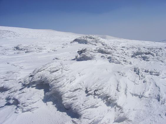 f0118332_23353456.jpg