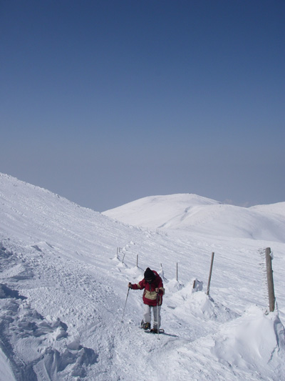 e0008833_1928950.jpg