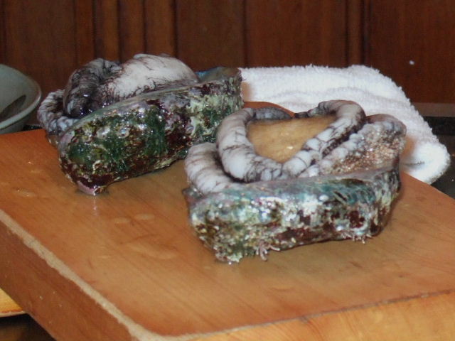 e0064133_062754.jpg