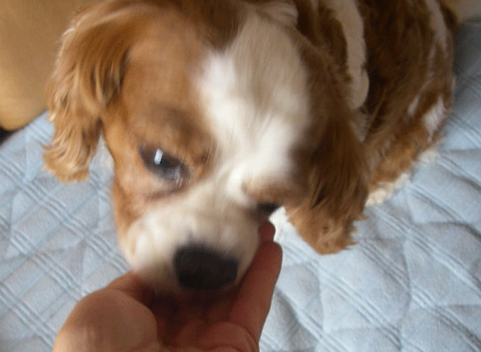 c0136838_21585167.gif