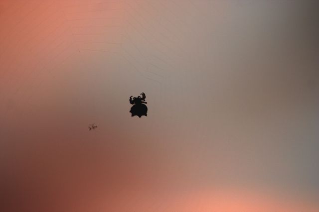 e0129046_1814811.jpg