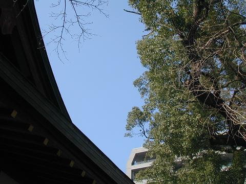 e0130347_15271198.jpg