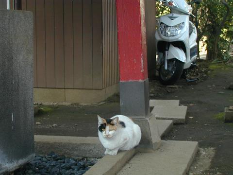 e0130347_15272447.jpg