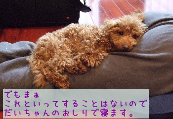 d0151949_0503240.jpg