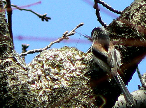 d0091754_23135821.jpg