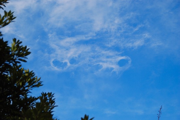 e0020166_1946330.jpg