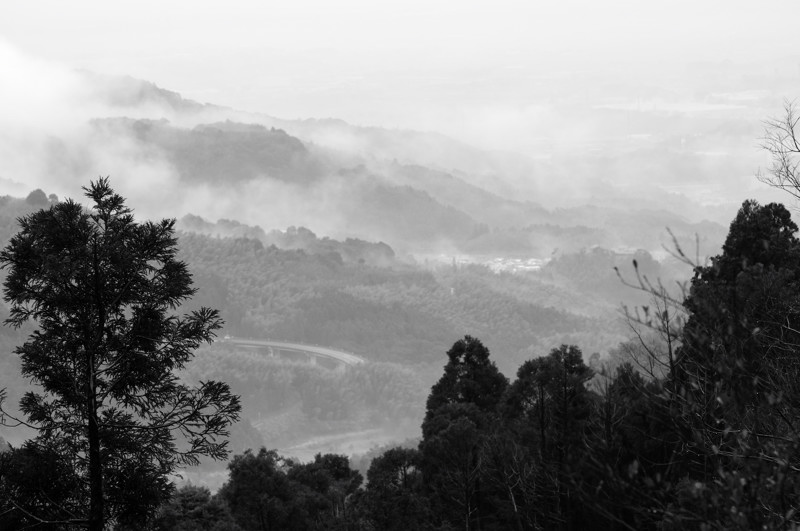 f0150672_1102182.jpg