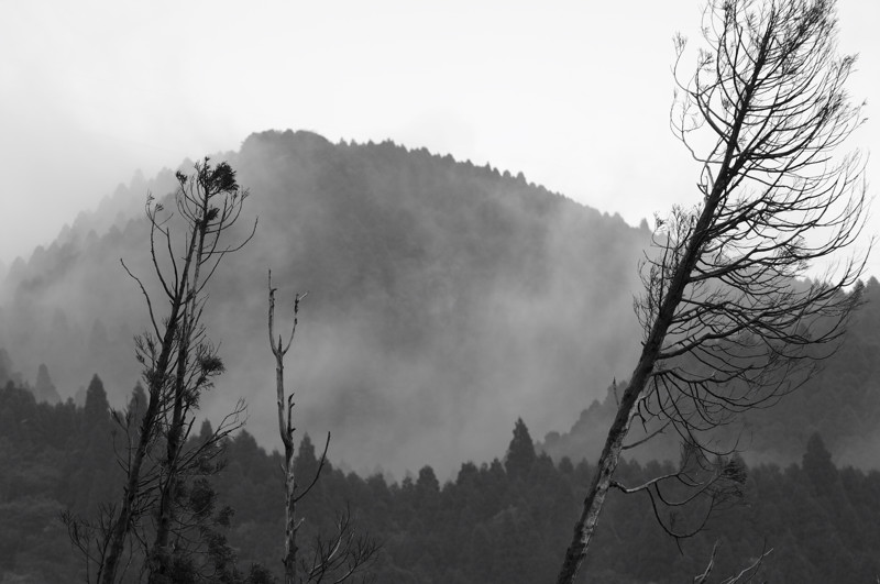 f0150672_110734.jpg