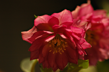 b0034284_23214251.jpg