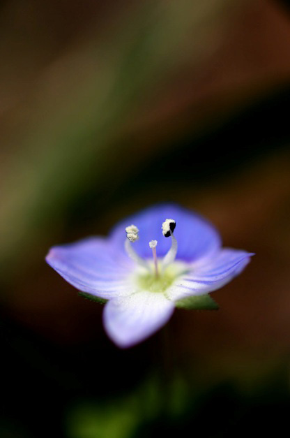 b0067789_2034472.jpg