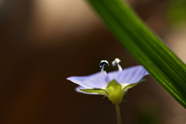 b0067789_203617100.jpg