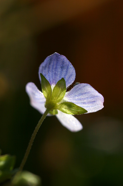 b0067789_20362784.jpg