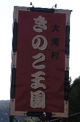 a0067991_7572150.jpg