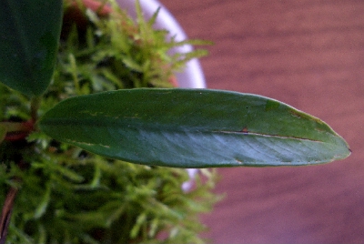 c0074591_22182122.jpg