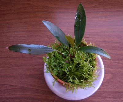 c0074591_2218274.jpg