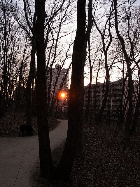 a0093592_22361358.jpg