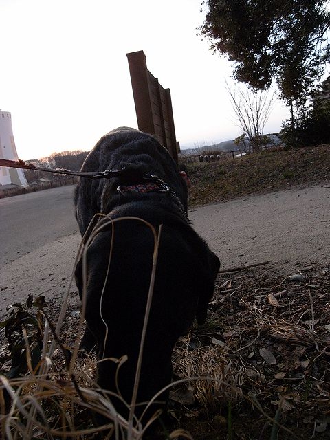a0093592_23154914.jpg