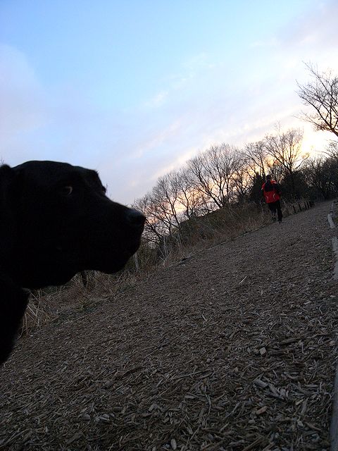 a0093592_2333828.jpg
