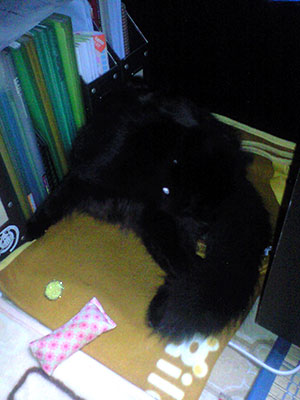 e0019594_2332416.jpg