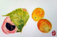 f0008597_21354443.jpg
