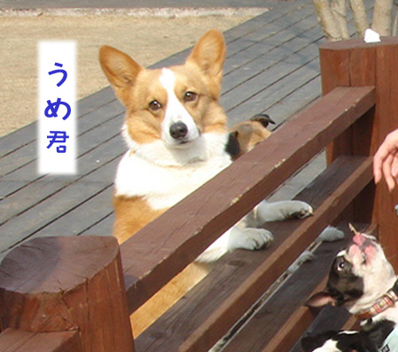 c0094999_20554580.jpg