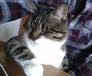 c0035001_1551756.jpg