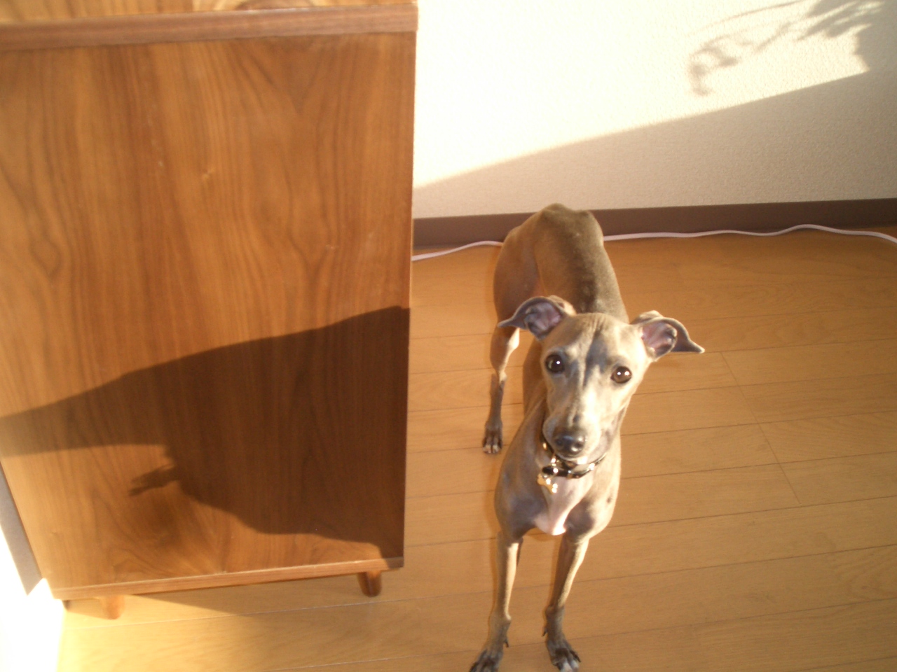 e0141909_2027983.jpg