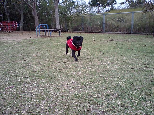 a0074110_2184289.jpg
