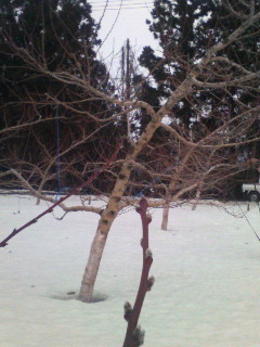 f0031013_23252582.jpg