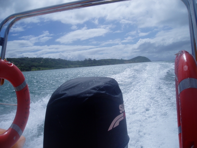 a0000014_20113077.jpg