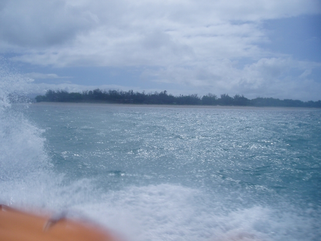 a0000014_20114597.jpg