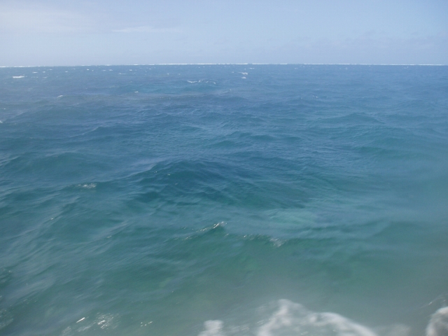 a0000014_2012574.jpg
