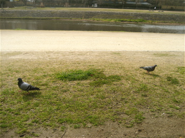 c0111017_19451540.jpg