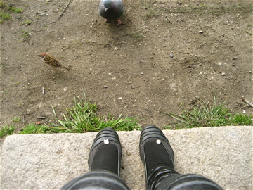 c0111017_1946497.jpg