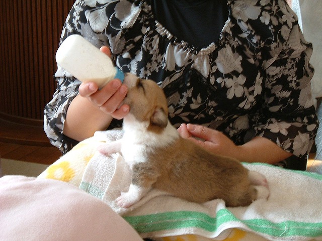 c0127617_17261279.jpg