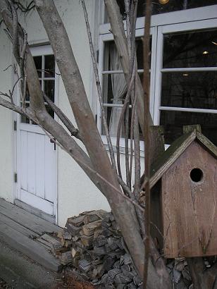 e0050218_13481145.jpg